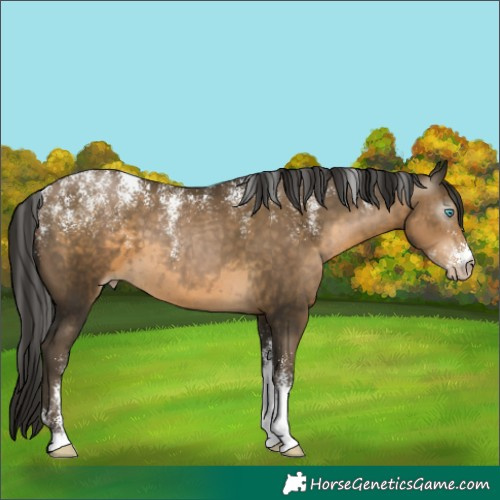 Horse Color:Powder White Gray Buckskin Pearl 
