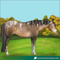 Horse Color:Powder White Gray Buckskin Pearl