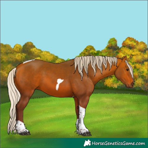 Horse Color:Silver Bay Tobiano 