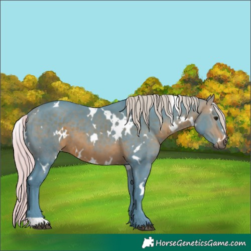 Horse Color:Watercolor White Spotted Silver Brown 