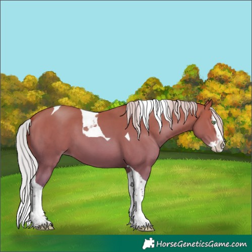 Horse Color:Silver Amber Champagne Splash Tobiano 