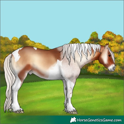 Horse Color:Silver Bay Onyx Tobiano 