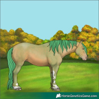 Horse Color:Watercolor Amber Champagne Tobiano 