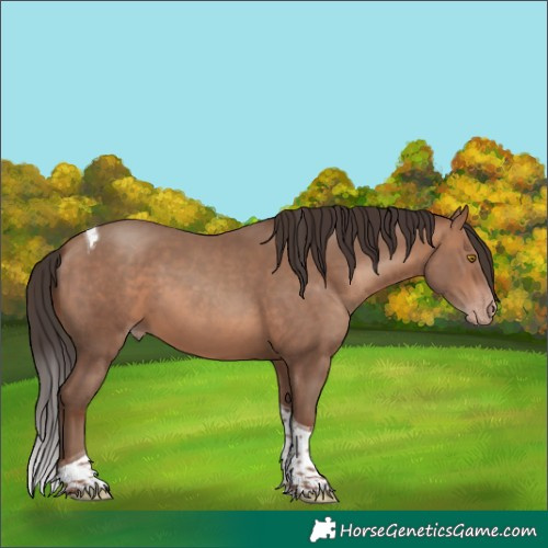 Horse Color:Sable Champagne Tobiano 