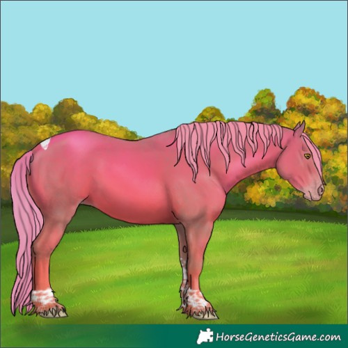 Horse Color:Watercolor Gold Champagne Tobiano