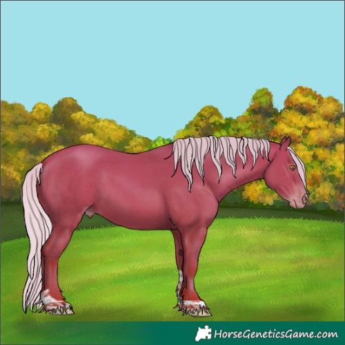 Horse Color:Silver Sable Champagne Tobiano