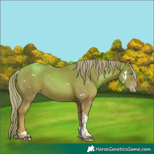 Horse Color:Watercolor White Spotted Gold Champagne Tobiano 
