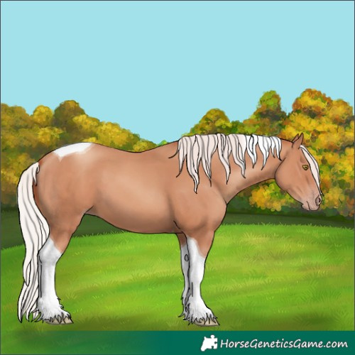 Horse Color:Silver Sable Champagne Tobiano 