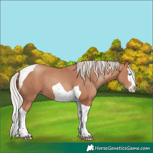 Horse Color:Silver Amber Champagne Splash Tobiano 