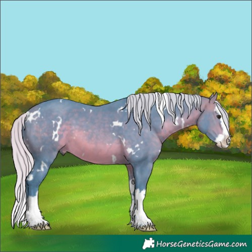 Horse Color:Watercolor White Spotted Silver Brown Splash 