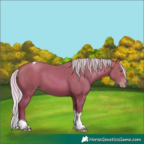 Horse Color:Silver Sable Champagne Tobiano 