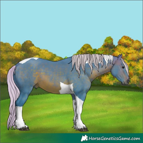 Horse Color:Watercolor Silver Brown Tobiano 