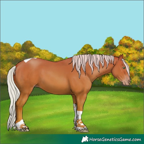 Horse Color:Silver Sable Champagne Tobiano 