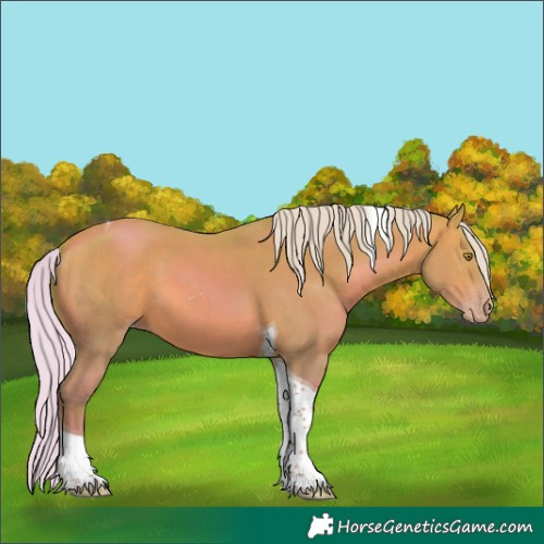 Horse Color:Watercolor Silver Sable Champagne Tobiano 