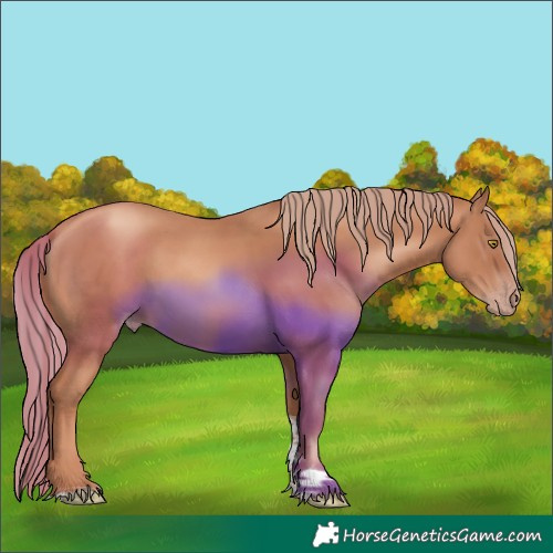 Horse Color:Gold Champagne Tobiano 