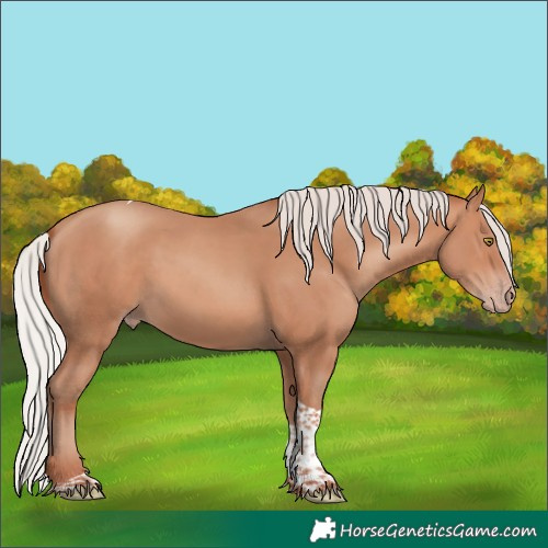 Horse Color:Silver Amber Champagne Tobiano 