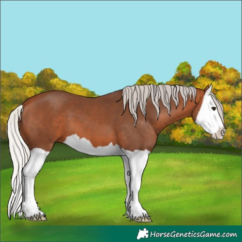 Horse Color:Silver Bay Splash 