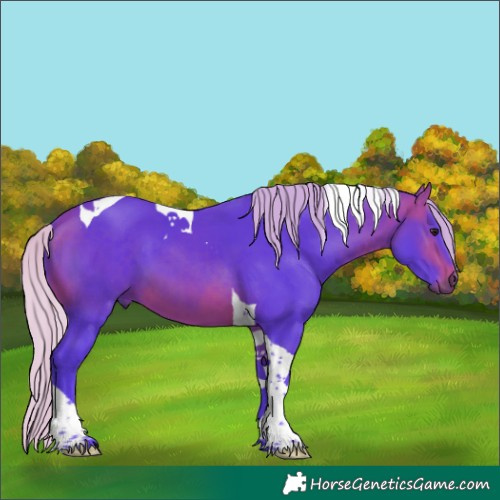Horse Color:Watercolor Silver Brown Tobiano