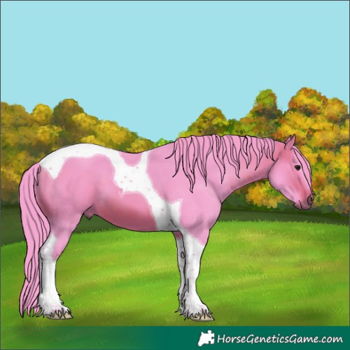Horse Color:Watercolor Brown Tobiano