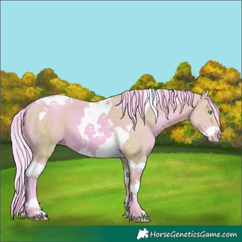Horse Color:Watercolor Gold Champagne Splash Tobiano 