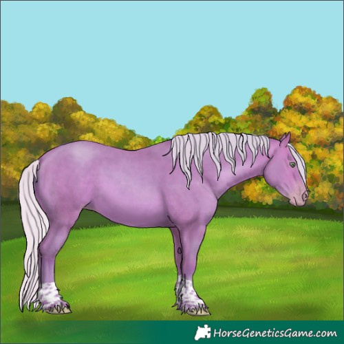 Horse Color:Watercolor Silver Sable Champagne Tobiano 