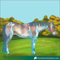 Horse Color:Nacre Thunderstruck Bay Onyx Tobiano Appaloosa 