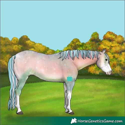 Horse Color:Painted Watercolor Silver Blue Onyx Sabino Tobiano Rabicano 