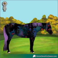 Horse Color:ERROR: UNKNOWN ANOMALY