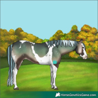 Horse Color:Painted Blue Onyx Splash Tobiano