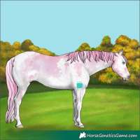 Horse Color:Watercolor Bay Onyx Splash Tobiano