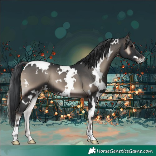 Horse Color:White Spotted Blue Onyx 
