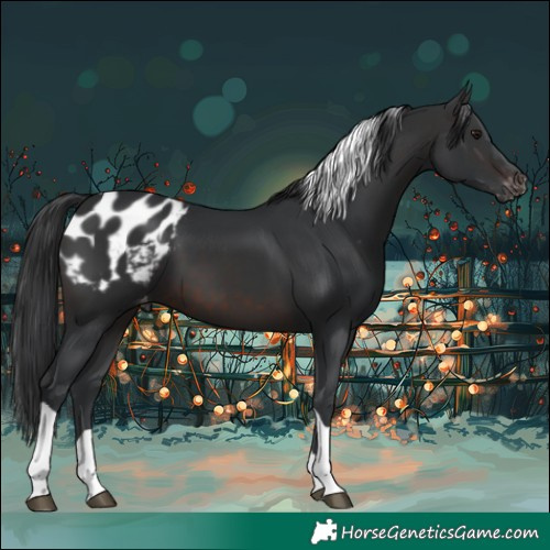 Horse Color:Brown Tobiano Blanket 