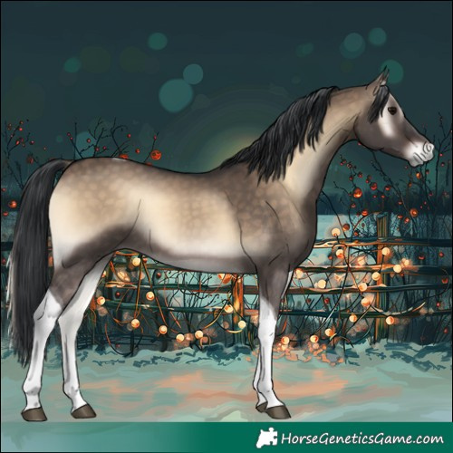 Horse Color:Brown Onyx Tobiano 