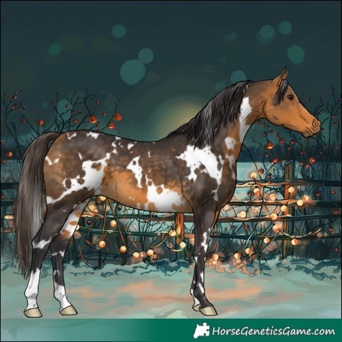 Horse Color:White Spotted Buckskin 