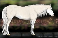 Horse Color:Cremello Sabino  Brindle