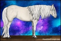 Horse Color:Cremello Sabino  Brindle