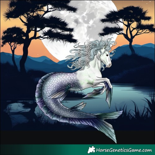 Horse Color:Powder White Watercolor White Spotted Grullo 