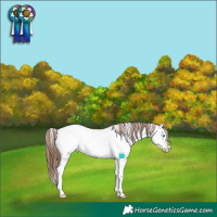 Horse Color:Brown Roan Dun Sabino Splash Appaloosa