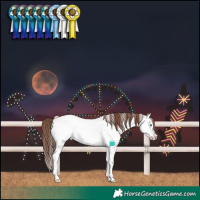 Horse Color:Brown Roan Dun Sabino Splash Near Fewspot 