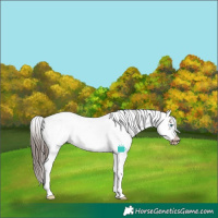 Horse Color:Liver Red Dun Sabino Splash Frame Blanket 