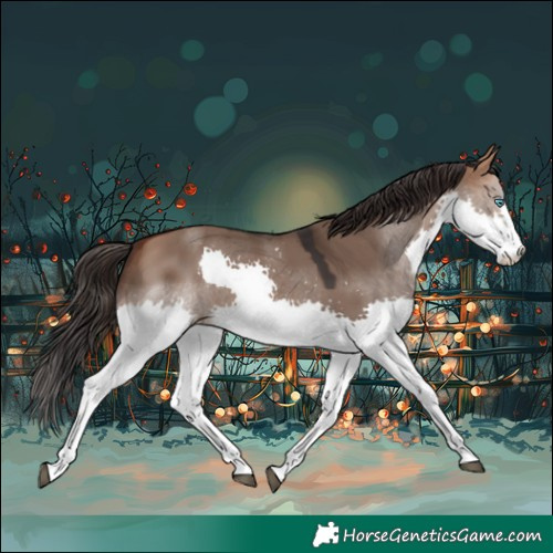 Horse Color:Bay Dun Splash Rabicano