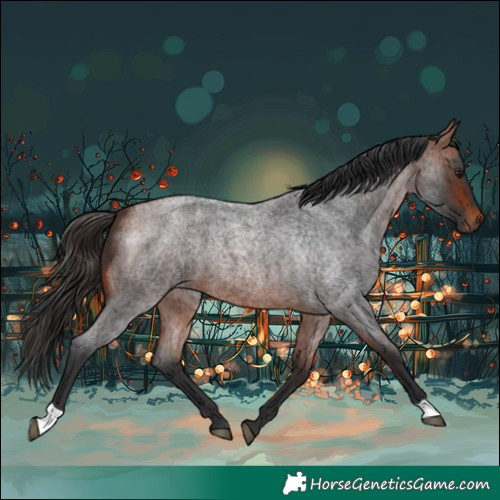 Horse Color:Bay Roan 