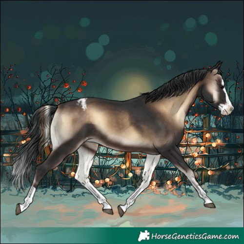 Horse Color:Brown Onyx Splash Blanket Rabicano 