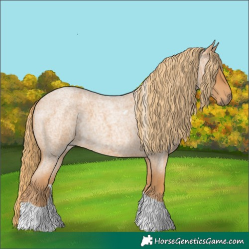 Horse Color:Red Roan Tobiano 