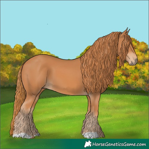 Horse Color:Chestnut 