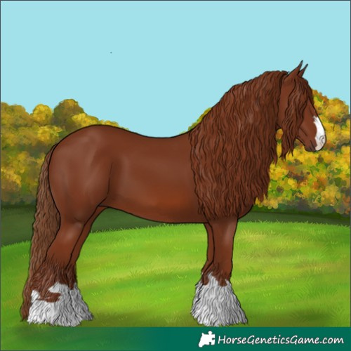 Horse Color:Chestnut 