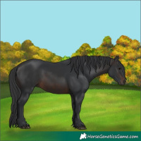 Horse Color:Brown Rabicano