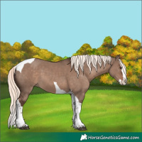 Horse Color:White Spotted Liver Red Dun Mushroom Splash Tobiano 