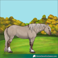 Horse Color:White Spotted Liver Red Dun Mushroom Tobiano Rabicano