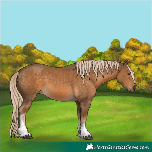 Horse Color:White Spotted Chocolate Palomino Tobiano 
